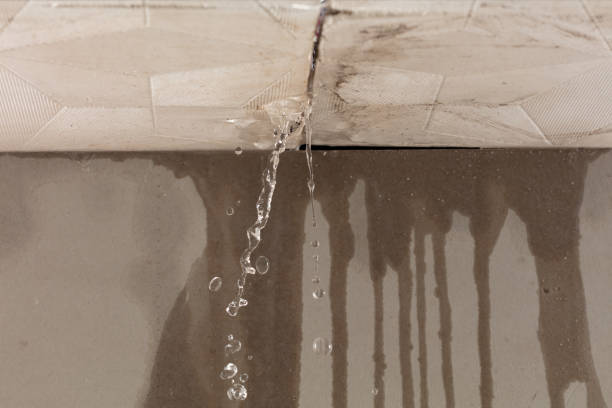 Professional Structural Drying technician working in Saint Johns, MI